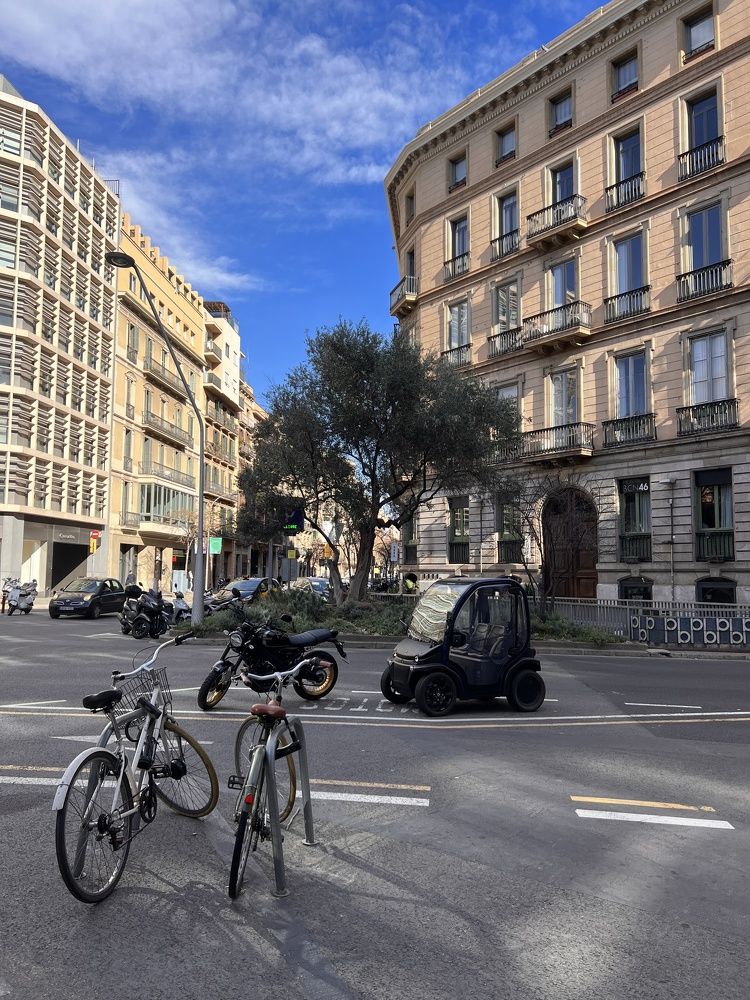 Фотография автора Мария Ефремова