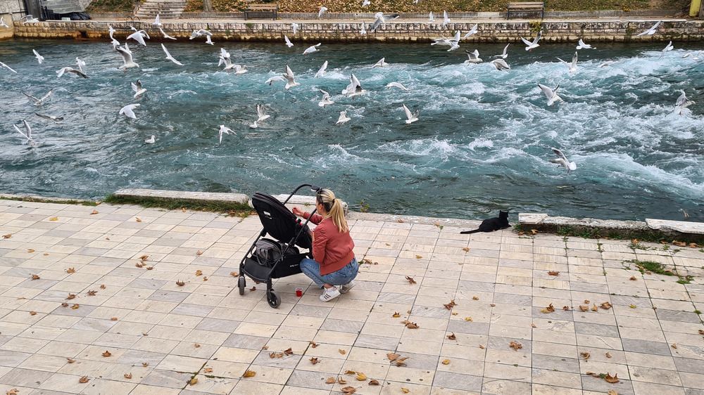 Photograph by Stojan Saveski