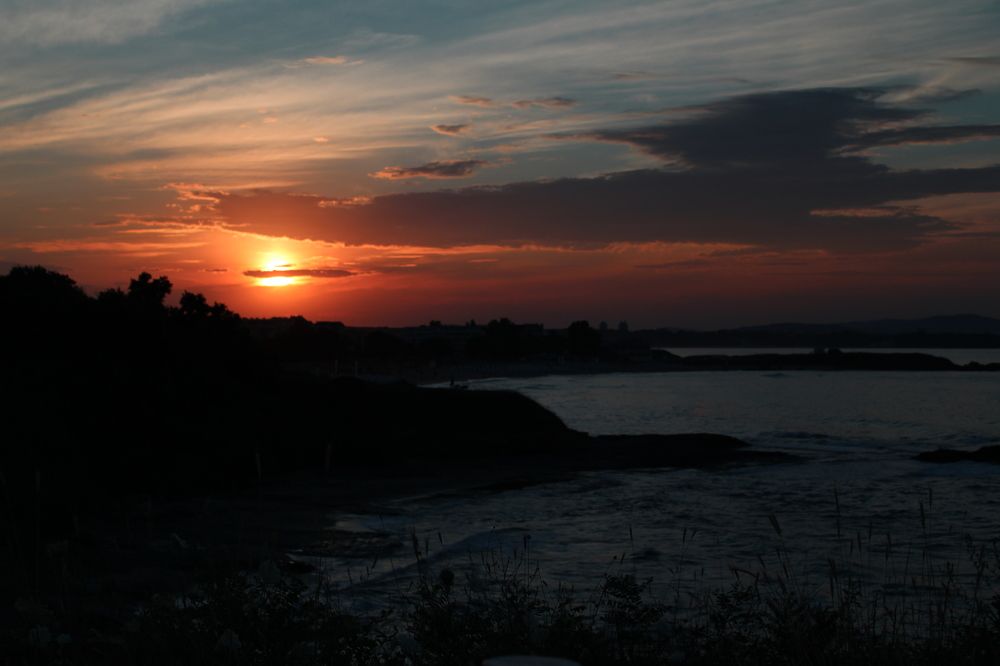 Фотография автора Elena Atanasova