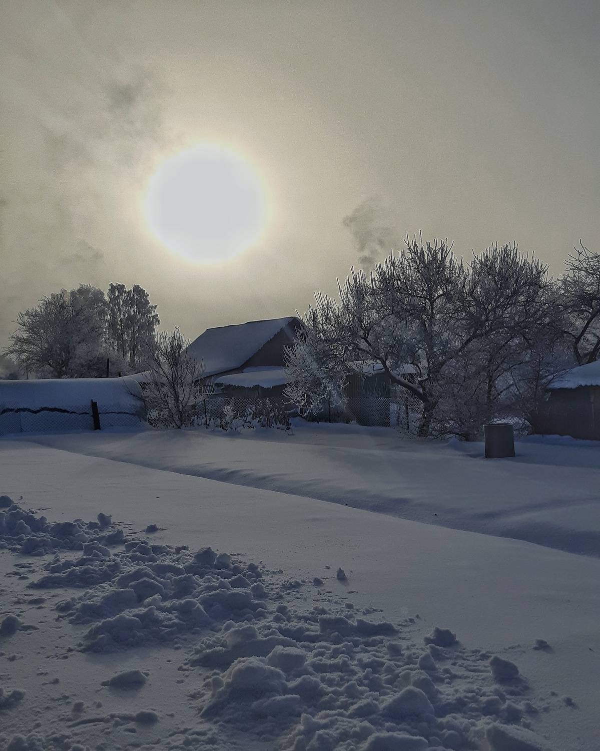 Photo #8909969
