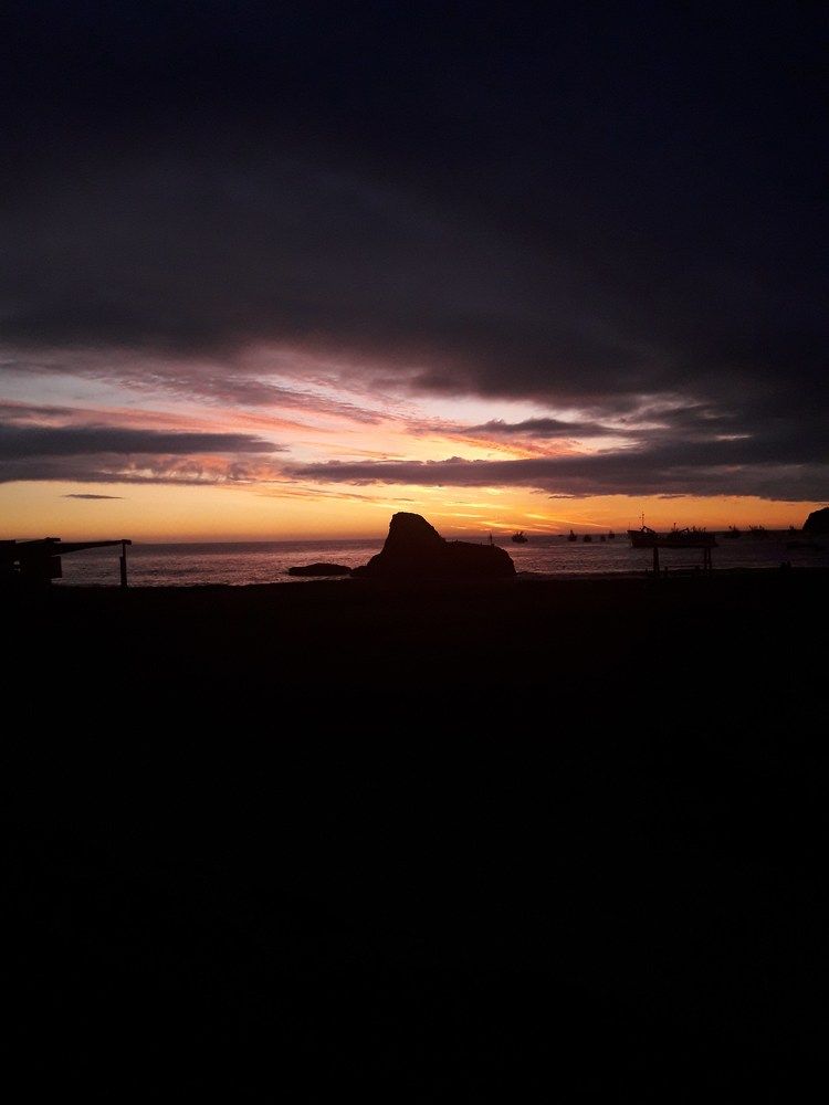 Photo #8909987