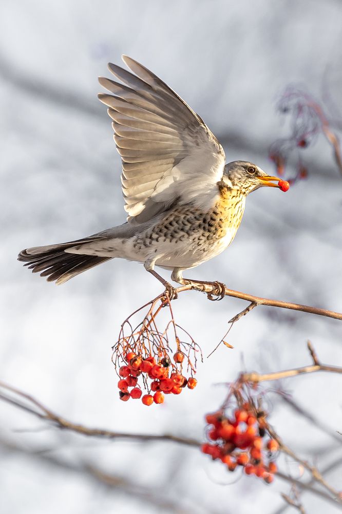 Photograph by Алексей Епишкин
