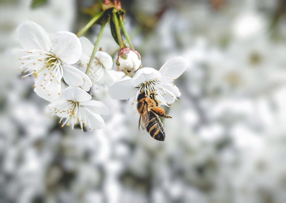 Photograph by Владимир Фролов