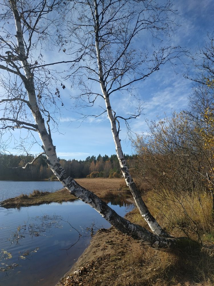 Photograph by Светлана Белозерова