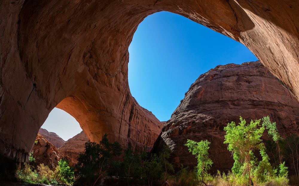 Photograph by Alexey Fedorov