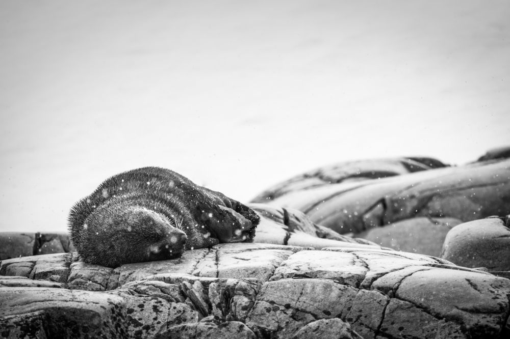 Photograph by Rémi Vacher