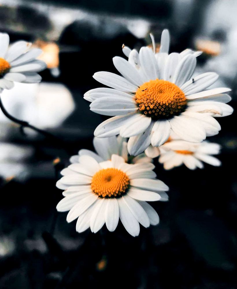 Photograph by Марина Хохрякова