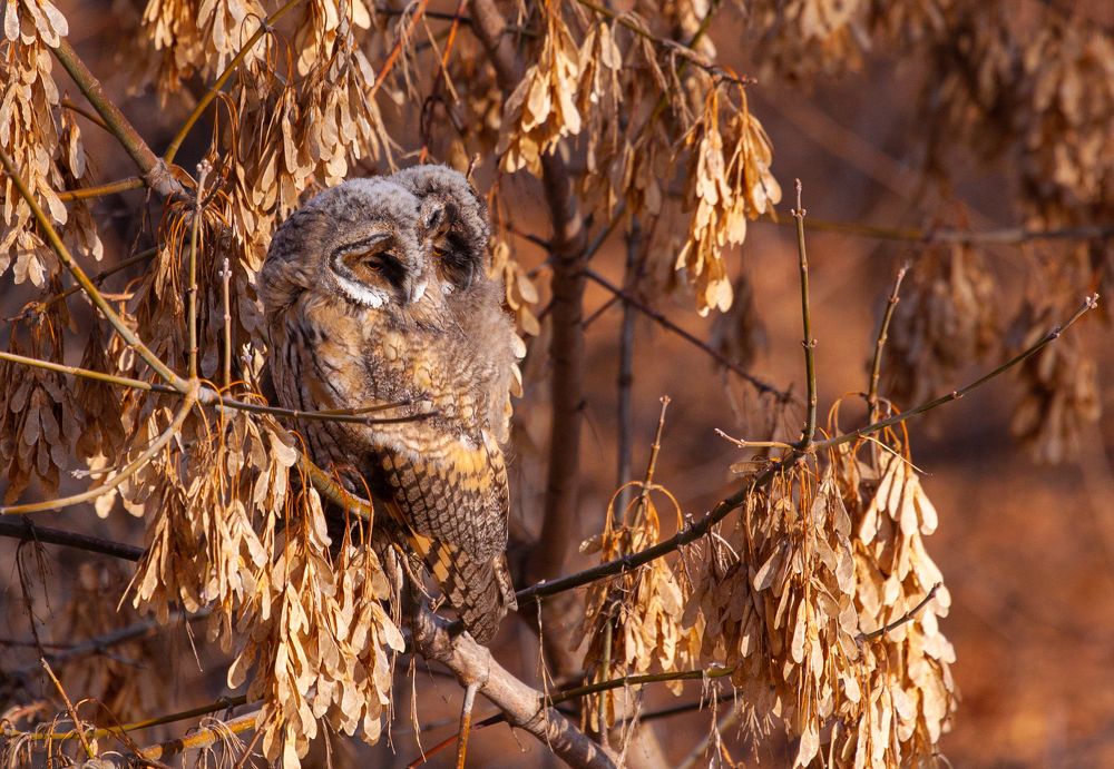 Photograph by Vega Vincent