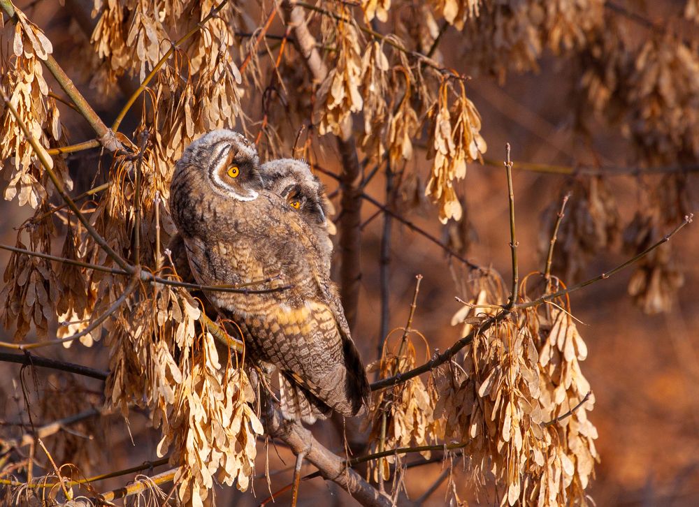 Photograph by Vega Vincent