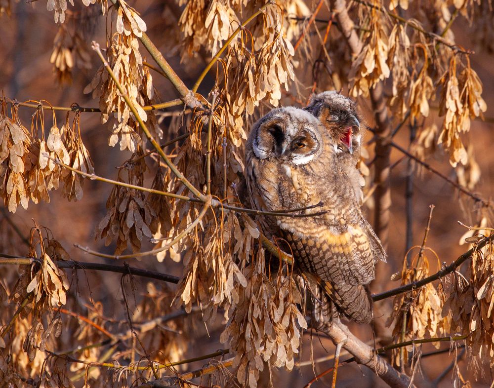 Photograph by Vega Vincent