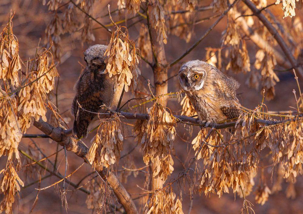 Photograph by Vega Vincent