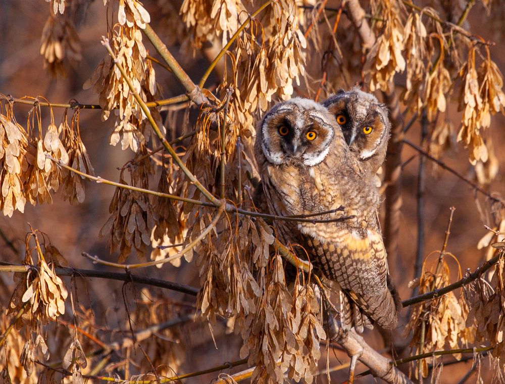 Photograph by Vega Vincent