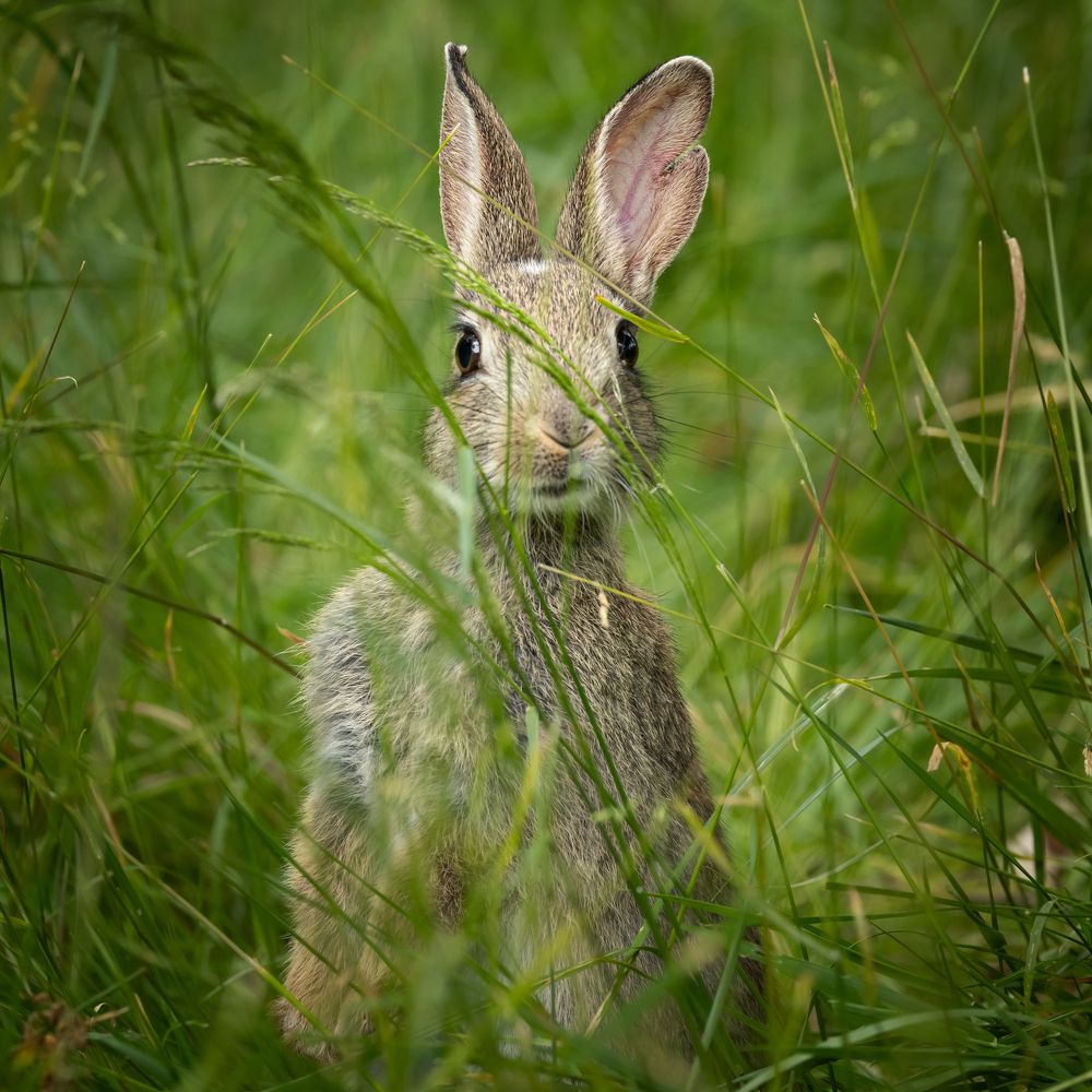 Photograph by Carmen