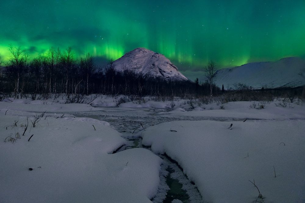 Photograph by Alexey Fedorov