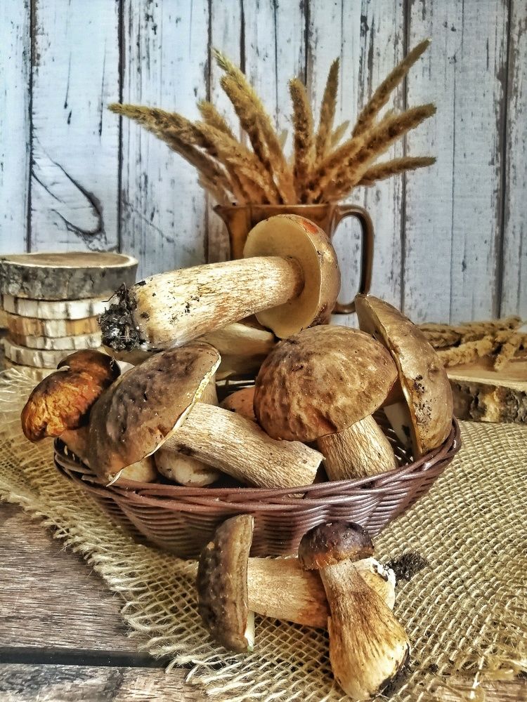 Фотография автора НАТАЛЬЯ СЕВЕР