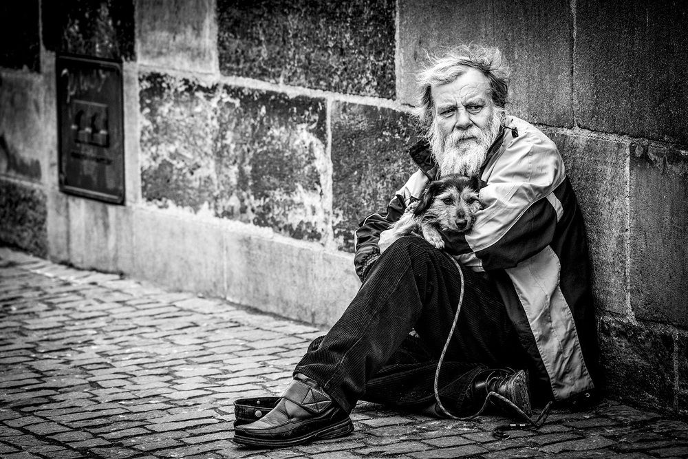 Photograph by Ovi D Pop