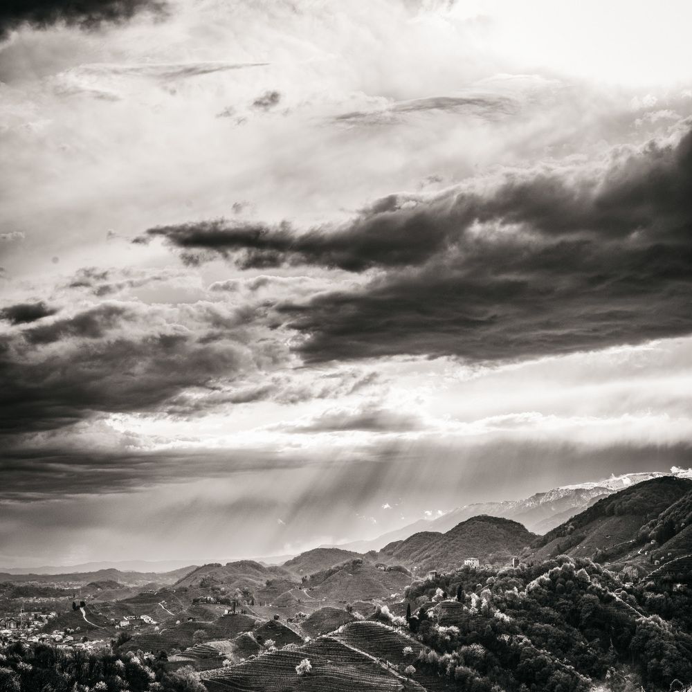 Photograph by Arcangelo Piai