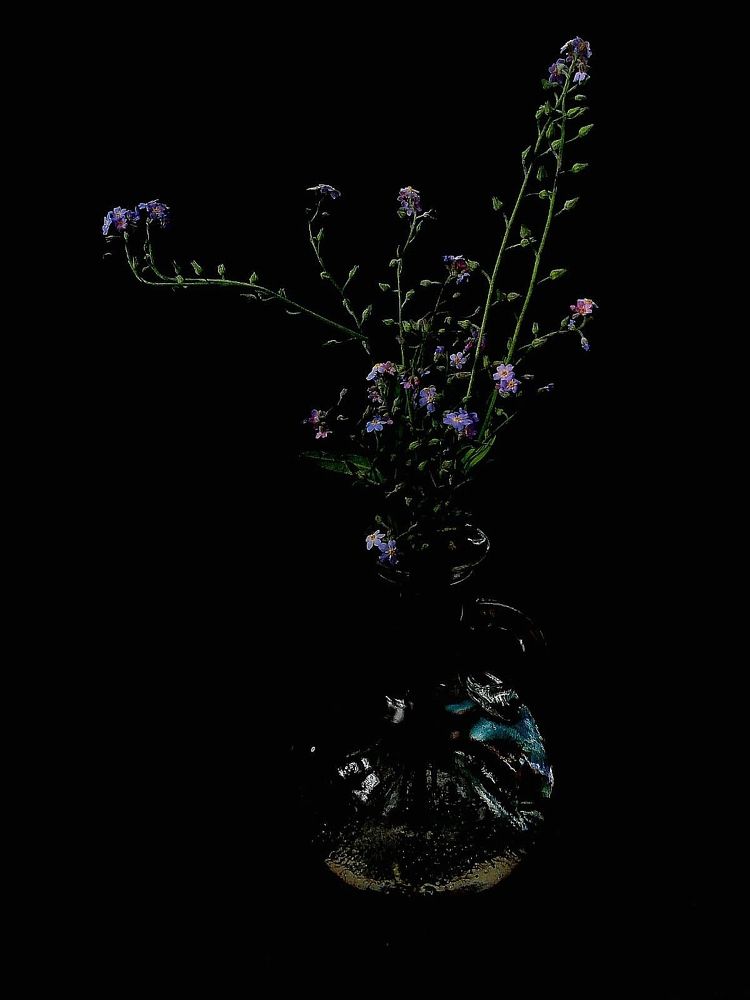 Photograph by Galina Novichkova