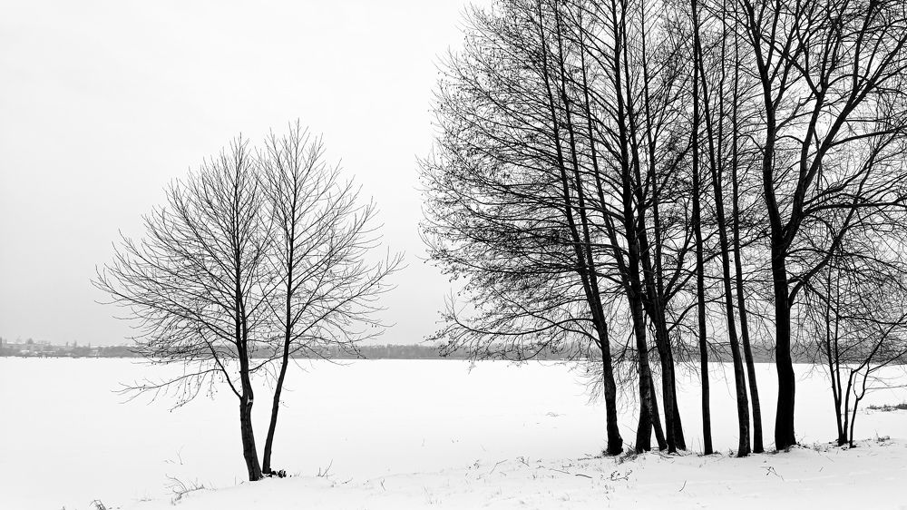 Photograph by Олеся Межова