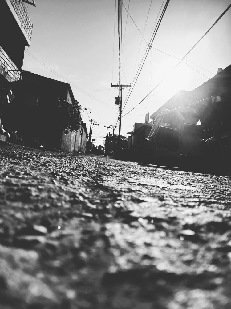 Photo #8910404