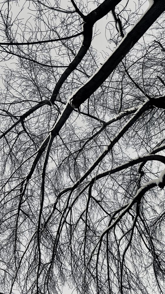 Photograph by Марина Толстопятова