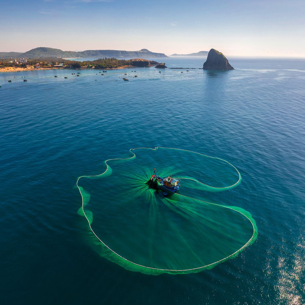 Vũ điệu của lưới đánh cá