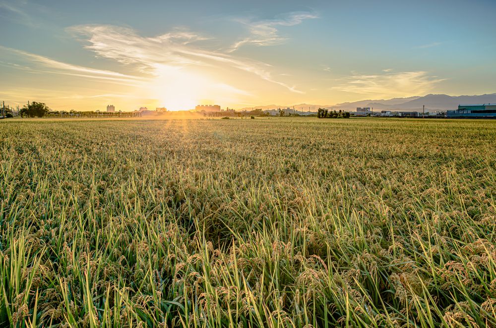 Photograph by answer