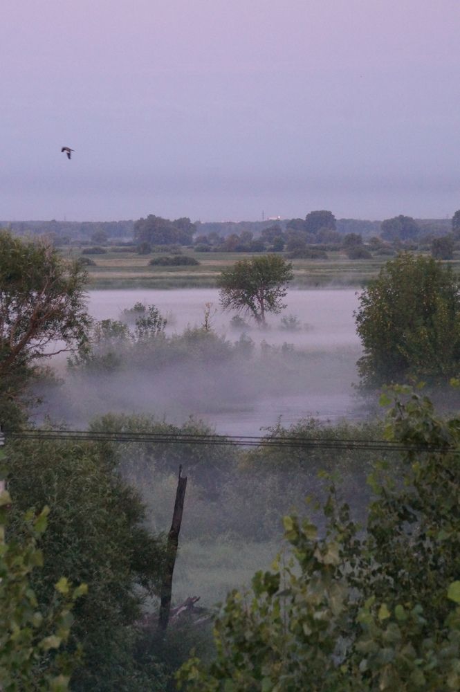 Photograph by Никита Савинов