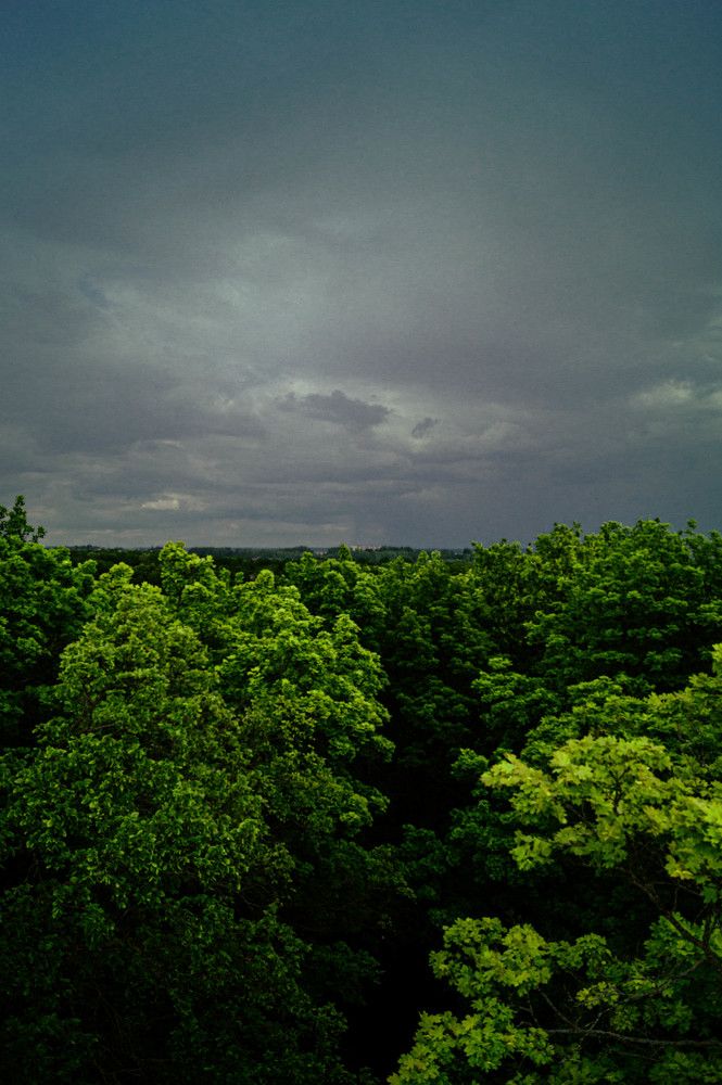 Photograph by Никита Савинов