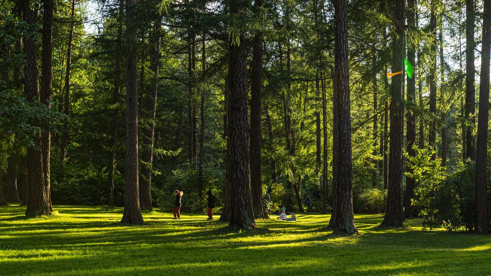 Photograph by Марина Короткова