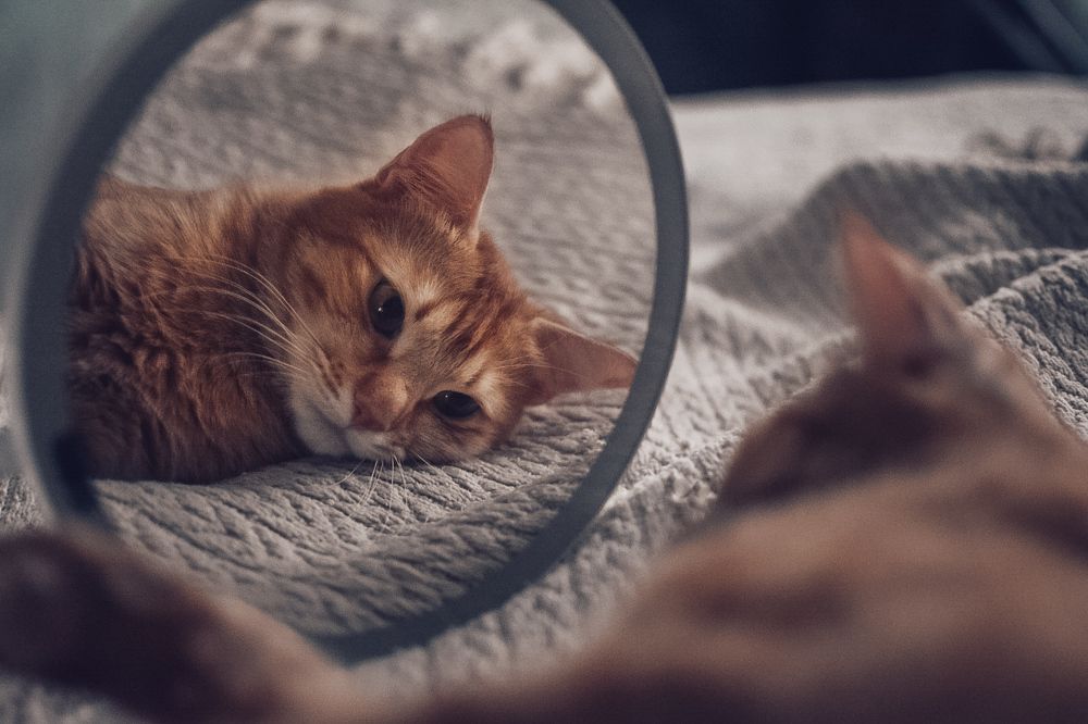 Photograph by Любовь Рожкова