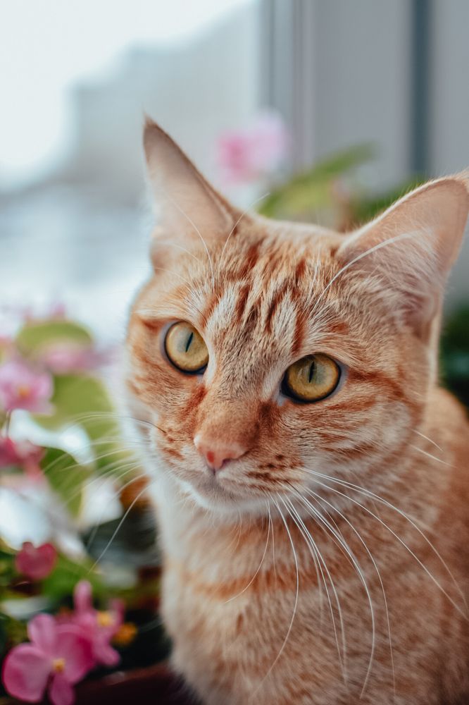 Photograph by Любовь Рожкова