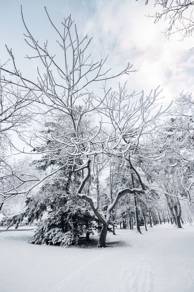 Photograph by Anna Turks