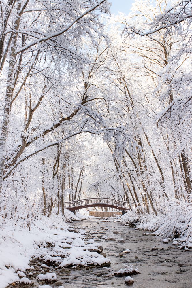 Photograph by Anna Turks