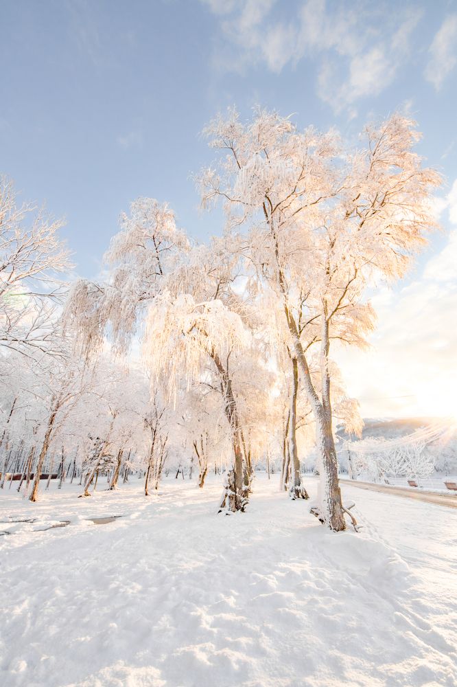 Photograph by Anna Turks