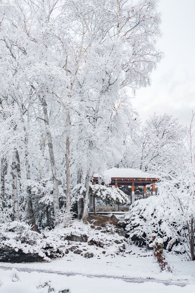 Photograph by Anna Turks