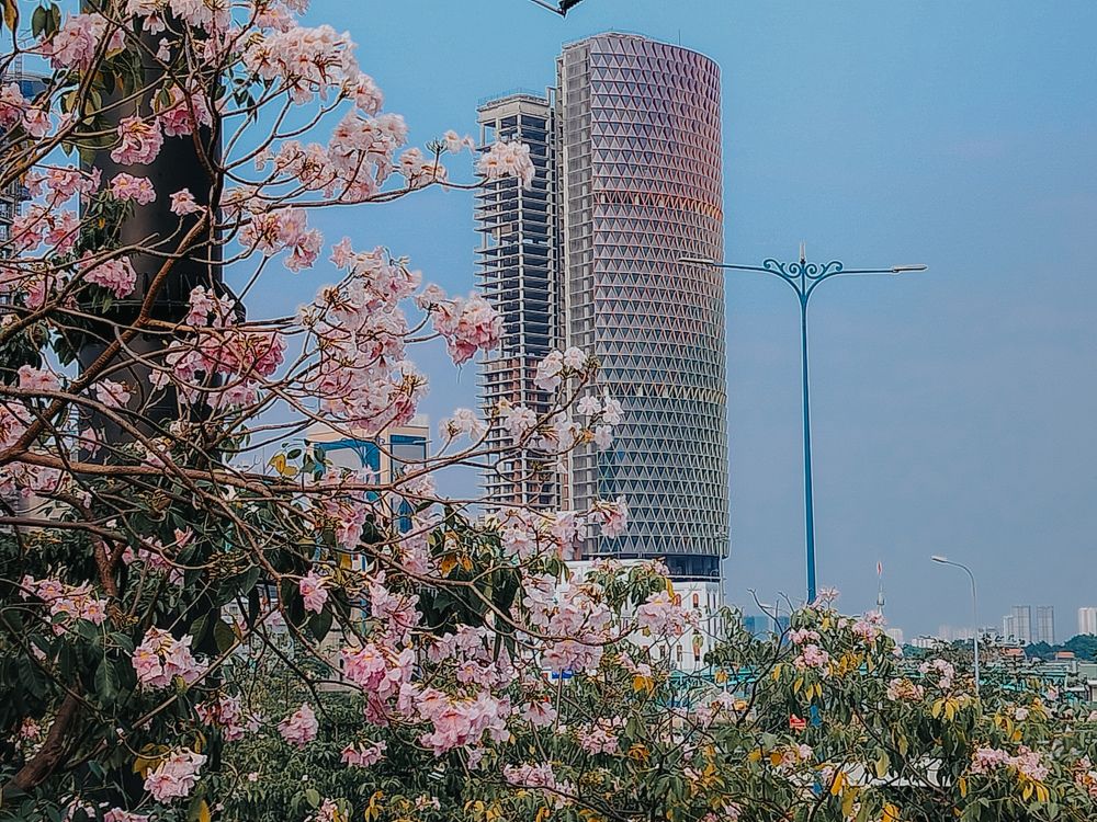 Photograph by Múp Phượt