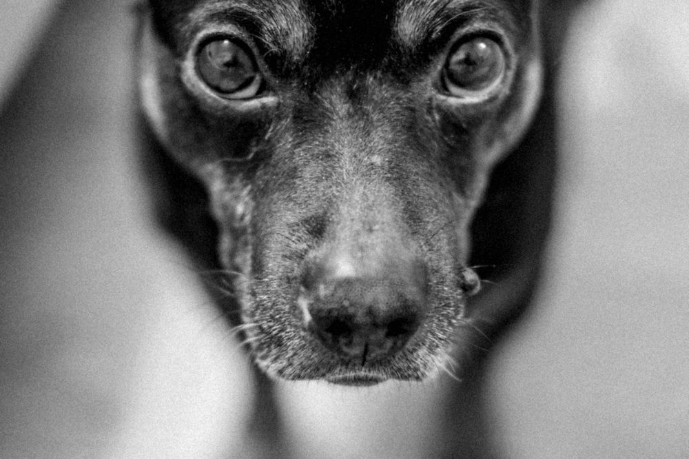 Photograph by Янина Найденцева