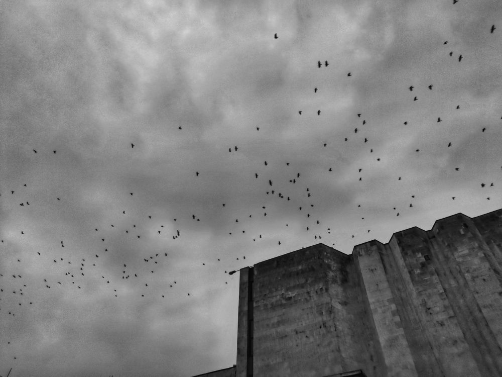 Photograph by Константин Цыкалюк