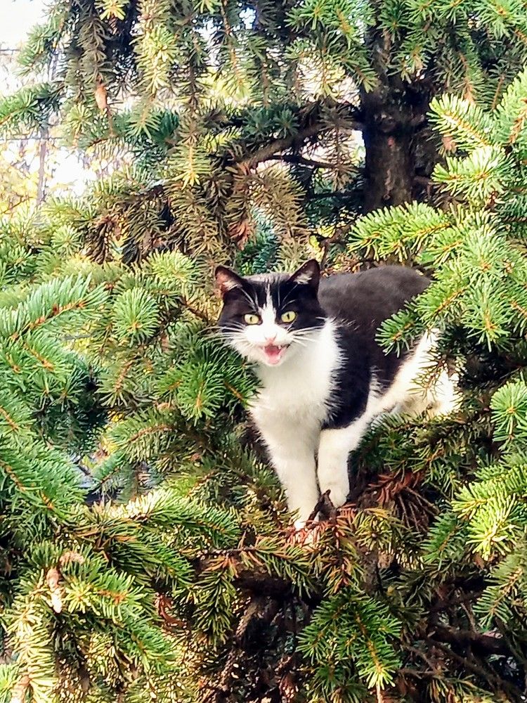 Photograph by Татьяна Пальчикова