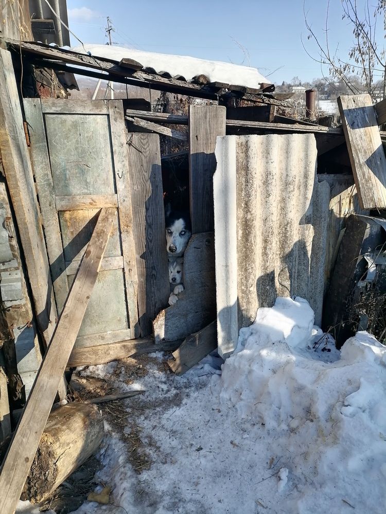 Photo #8910681
