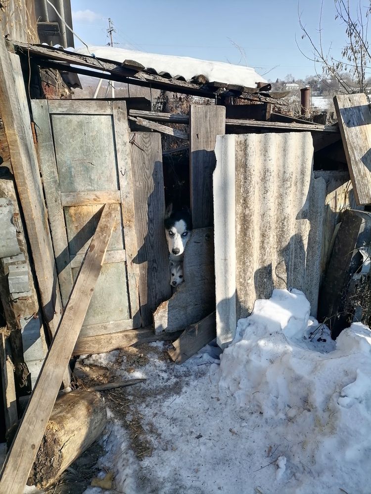 Photo #8910684