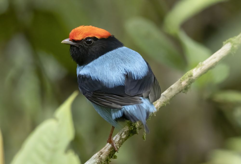 Photograph by Renato Costa Pinto