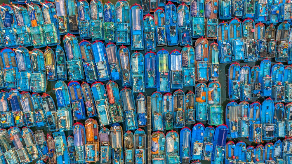 Photograph by Tuấn Nguyễn Tấn