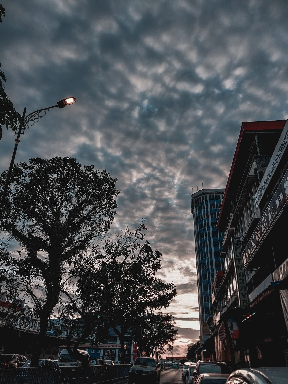 Photo #8910697