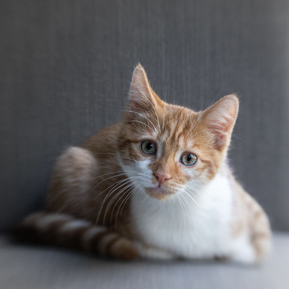 Photograph by Carmen Drake