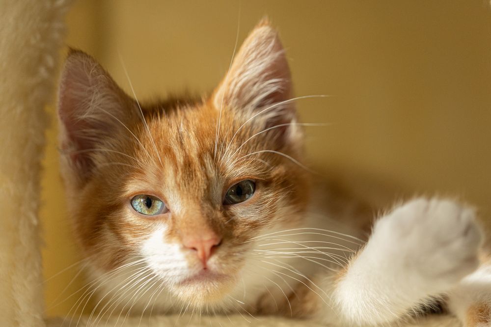 Photograph by Carmen Drake