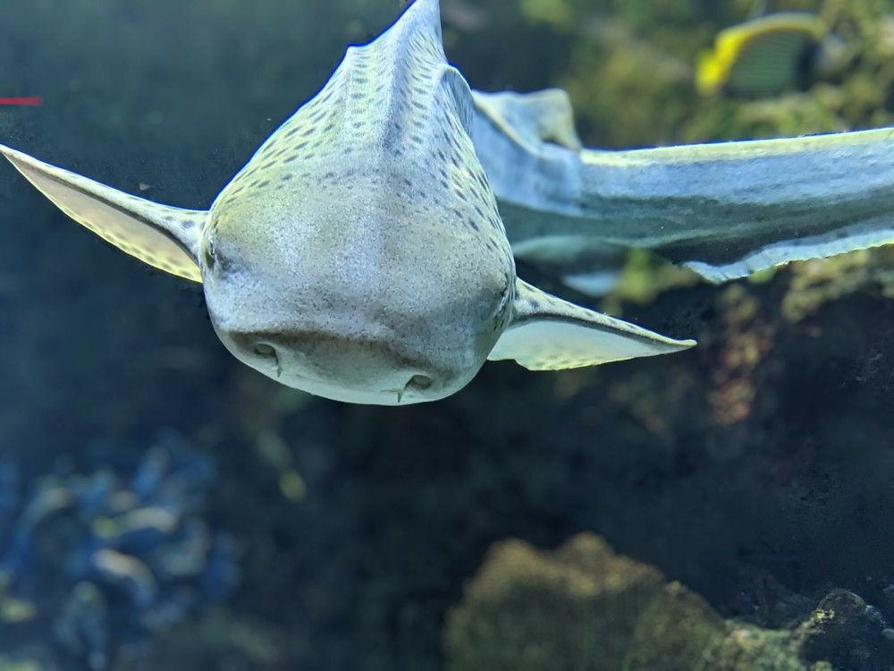 Photograph by Ira Egorova