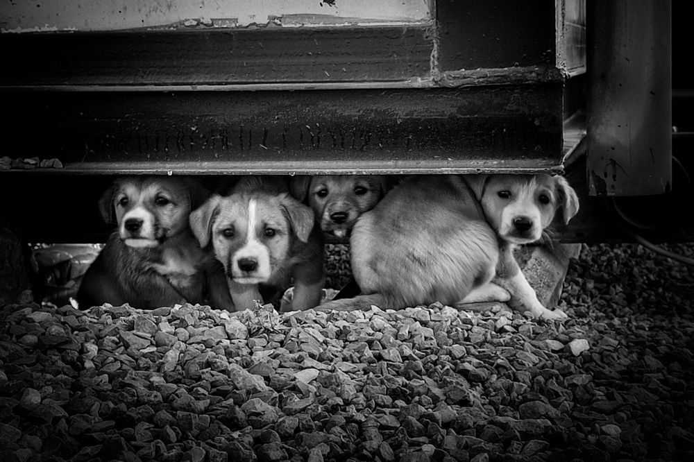 Фотография автора Ilyes Benaissa