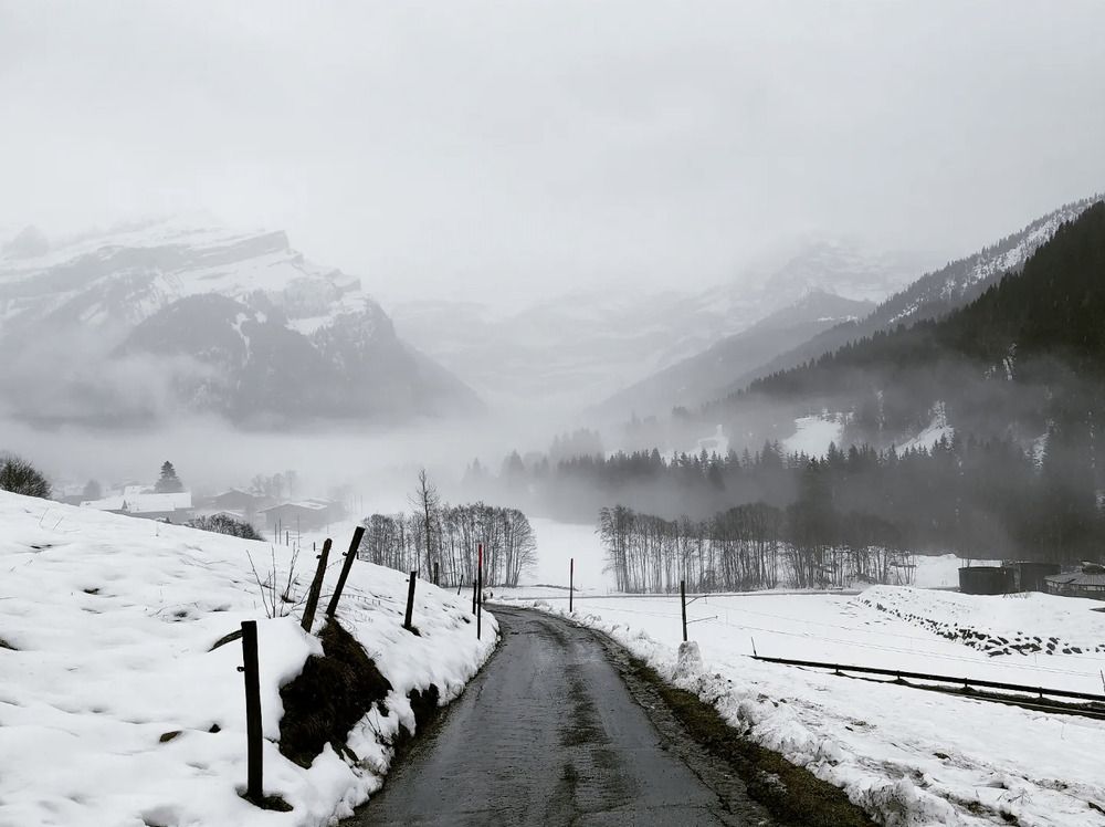 Photograph by Kristina Frizyuk